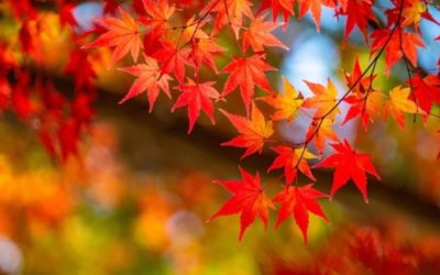 2025年11月の反省