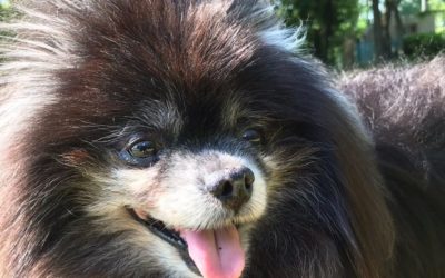 田原市M様　ポカリくん