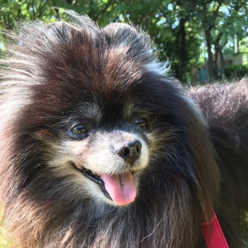 田原市M様　ポカリくん