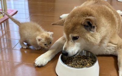 気持ちに寄り添う