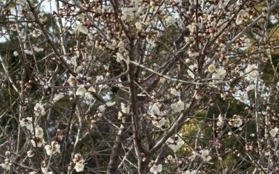 寒いのはつらい