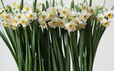 2026年2月の反省