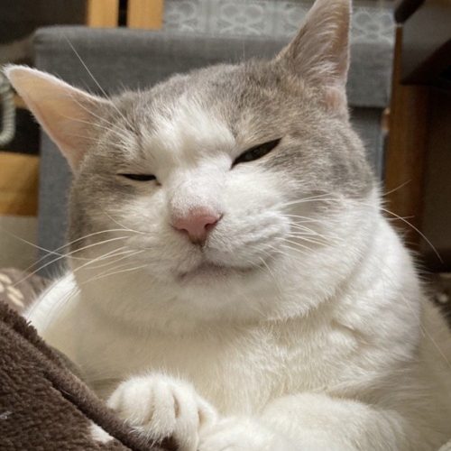 豊橋市S様　みうちゃん