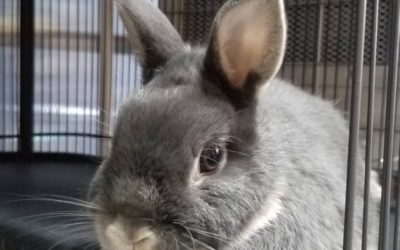 豊橋市T様　おたくん