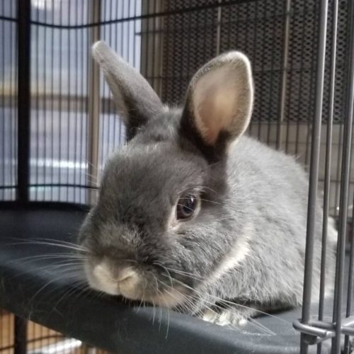 豊橋市T様　おたくん