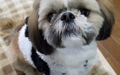 豊橋市K様　龍太郎くん