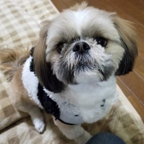 豊橋市K様　龍太郎くん