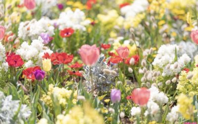 行方不明の男児の父親逮捕